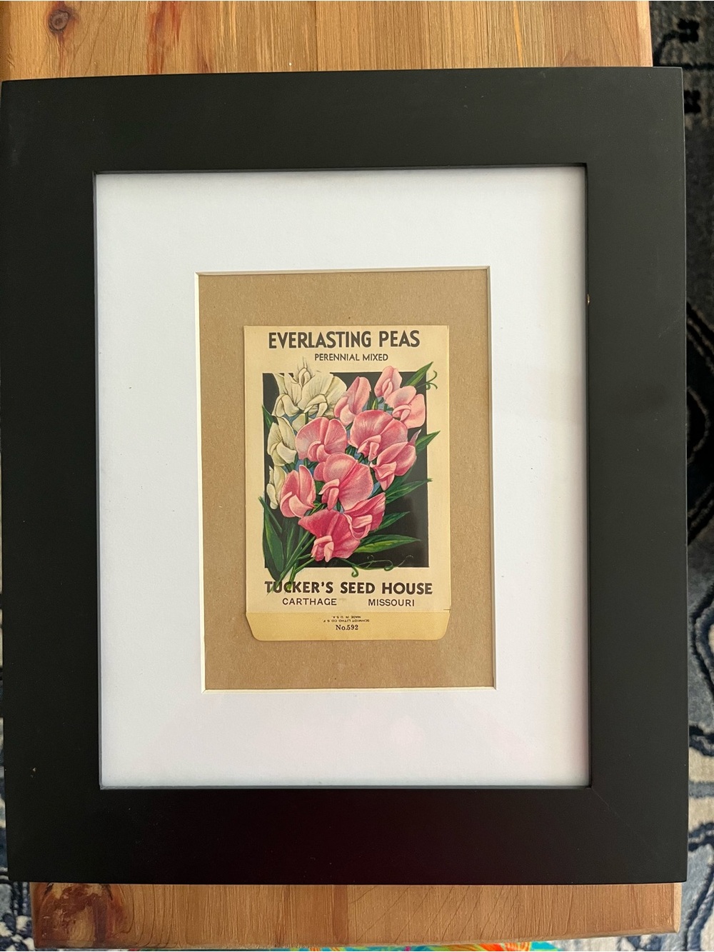 Framed Vintage Seed Packet Art - Pink & Cream Everlasting Peas